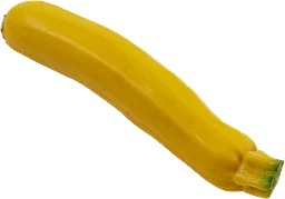 Zucchini Gul Klass 1