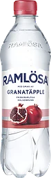 Kolsyrat vatten Granatäpple