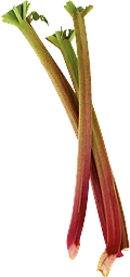 Rabarber