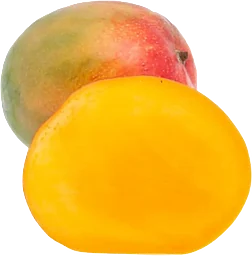 Mango Ätmogen ca Klass 1 ICA