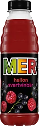 Hallon Svartvinbär