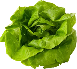 Huvudsallad ca Klass 1 ICA