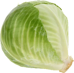 Vitkål Sverige Klass 1