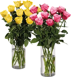 Premium rosor