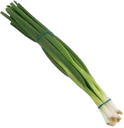 Salladslök Knippe