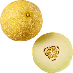 Galiamelon