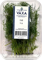 Dill Färsk