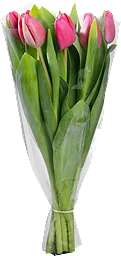 Tulpan Blandade färger 7-p