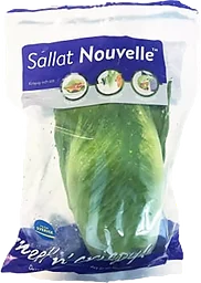 Sallat Nouvelle 1-p Klass 1