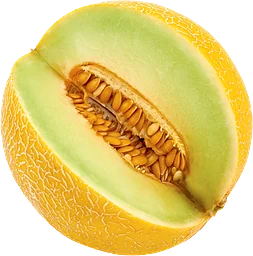 Melon Galia Klass 1