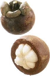 Mangostan ca Klass 1 ICA