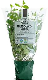 Marockans Mynta