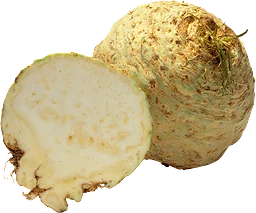 Rotselleri