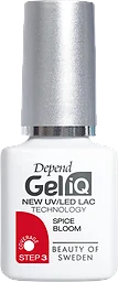 Gel iQ lack Spice Bloom
