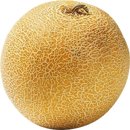Melon Galia 1-pack Klass 1