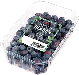 Blåbär Klass 1