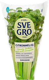Citronmeliss i kruka Ekologisk 1-p KRAV
