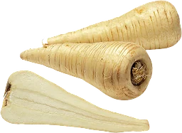 Palsternacka