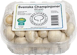 Champinjoner Svenska Hulatorps Champinjoner