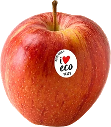 Äpple Royal Gala ekologiskt ca Klass 1