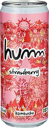 Strawberry Kombucha 0,5%