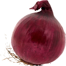 Lök Röd Klass 1
