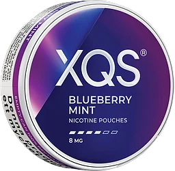 Blueberry Mint S4