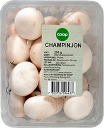 Champinjon