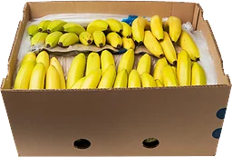 Banankartong Eco