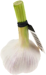 Lök Vit Färsk Klass 1