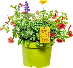 Sommarblommor mix 19cm