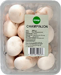 Champinjoner