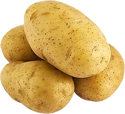 Potatis Mjölig