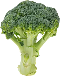 Broccoli Hebe Frukt & Grönt Klass 1