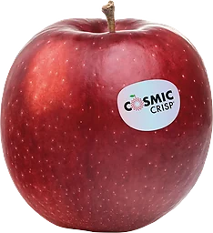 Äpple Cosmic Crisp ca Klass 1