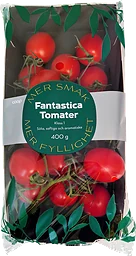 Tomat Fantastica