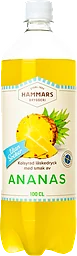 Ananas Light Läsk Pet
