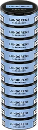 Portionssnus Skärgården Stock