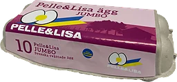 Ägg L/XL 10-pack