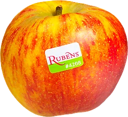 Äpple