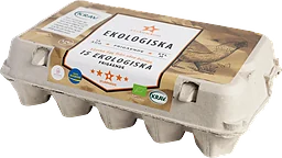 Ekologiska ägg 15-pack