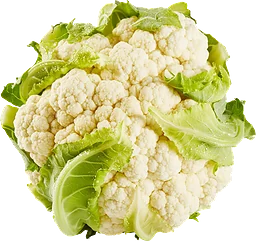 Blomkål