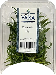 Rosmarin Färsk