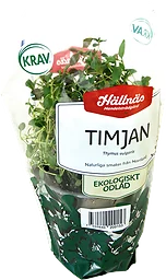 Timjan Eko Kruka
