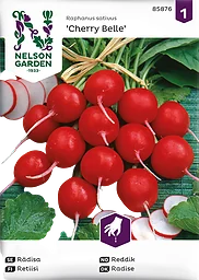Rädisa Cherry Belle Rund