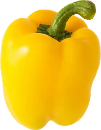 Paprika Gul 1-pack Klass 1