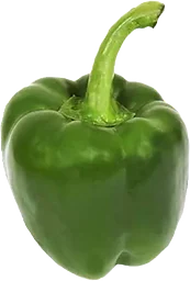 Paprika Grön