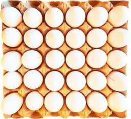 Ägg 30-p
