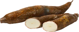 Cassavarot