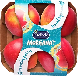 Äpple Morgana 4-pack Klass 1